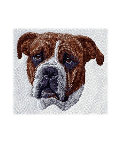 Old English Bulldog 2