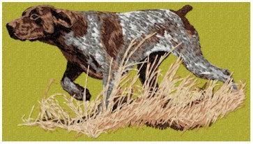 German Shorthaired Pointer 1