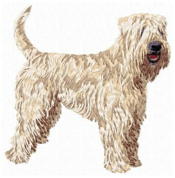 Soft-coated Wheaten Terrier 1