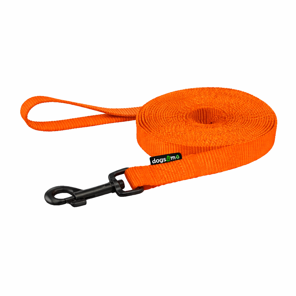 Stopovací vodítko, popruh, 20 mm, 5 m