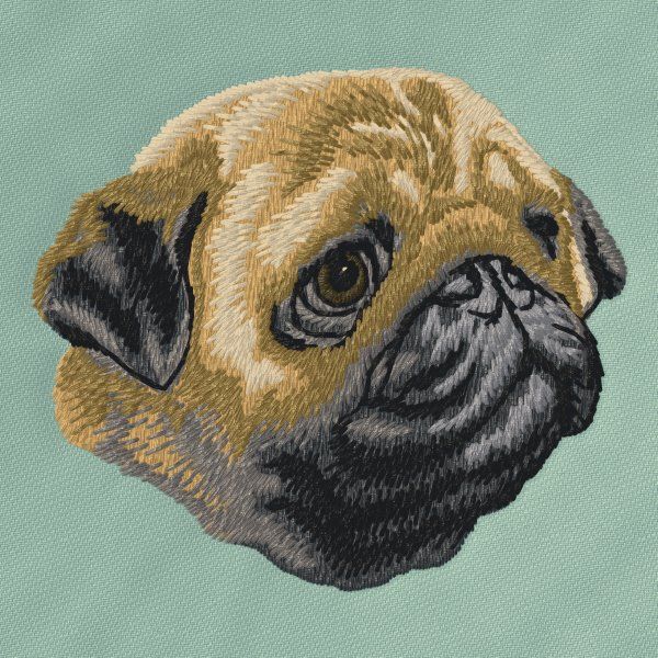 Pug 12