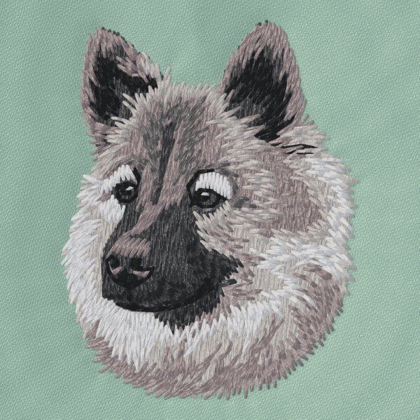 Eurasier 3