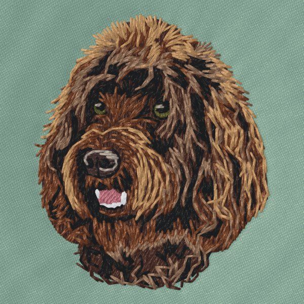 Goldendoodle 5