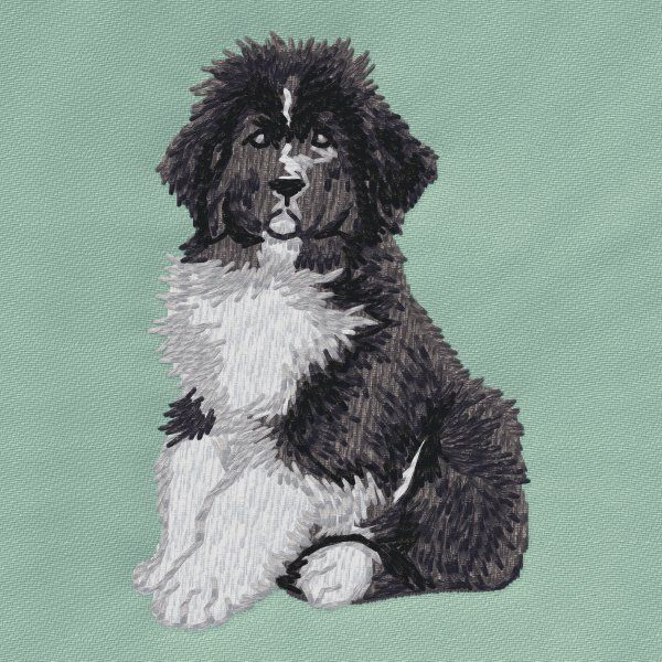 Novofundlandský pes 8