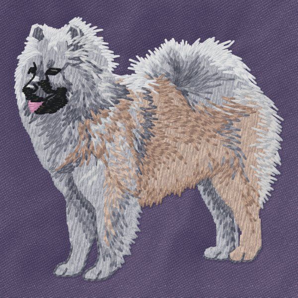 Eurasier 2