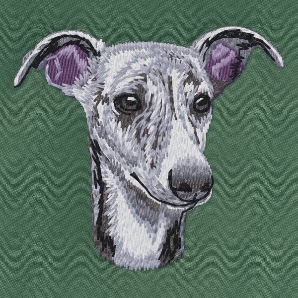 Whippet 3