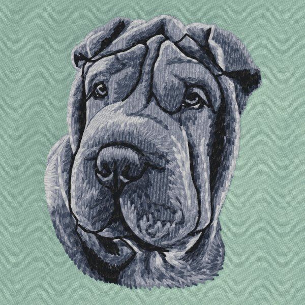 Shar-Pei 5
