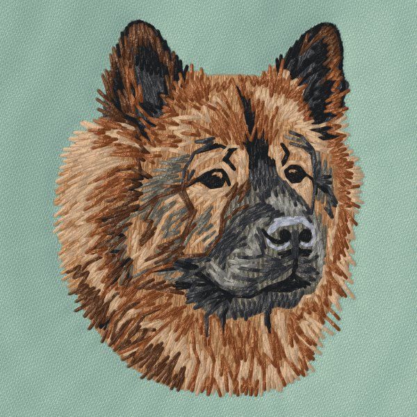 Eurasier 1