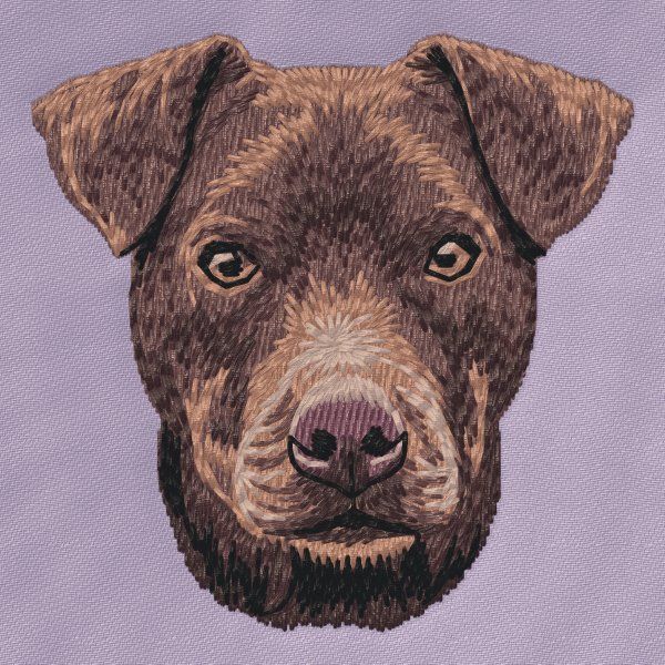 Patterdale Terrier