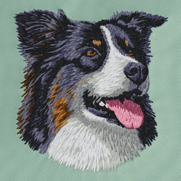Australian Shepherd 17