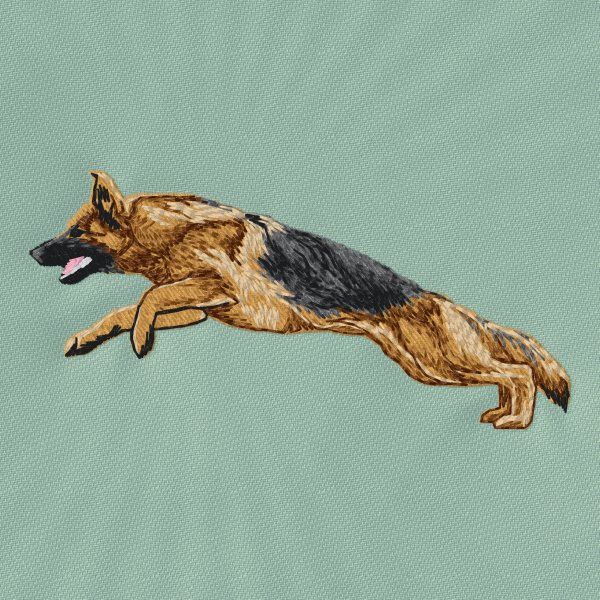 Německý ovčák 32