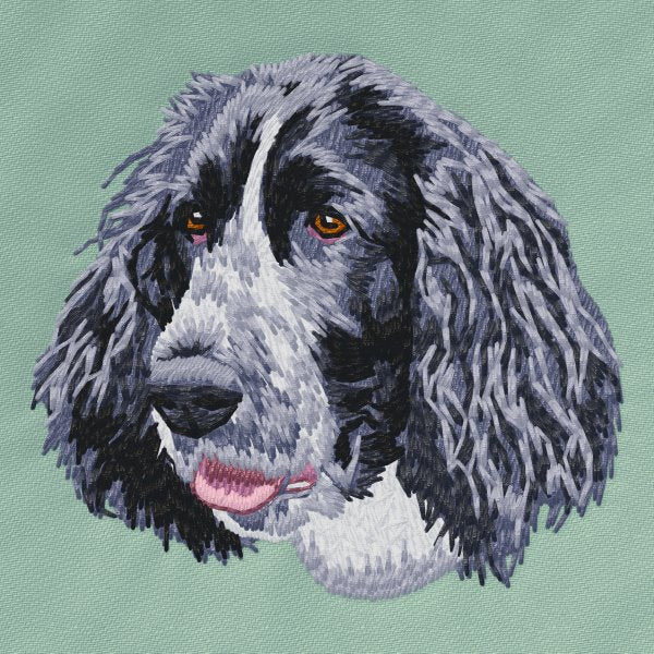 Anglický špringeršpaněl 2