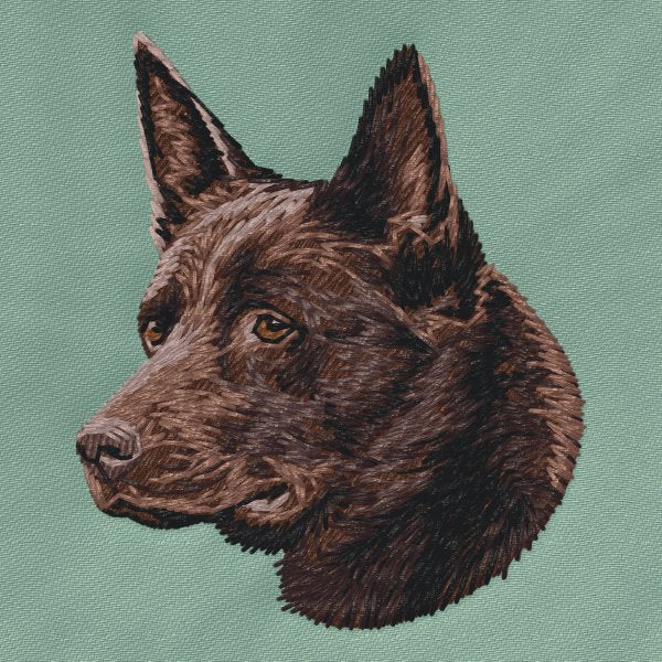 Australian Kelpie 3