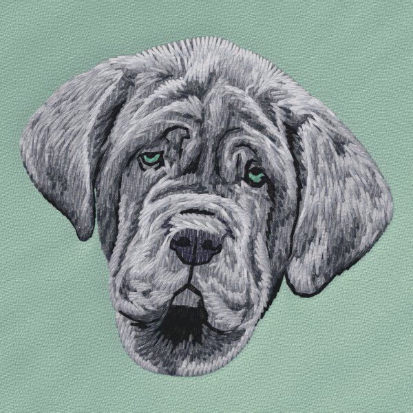 Mastino Napoletano 1