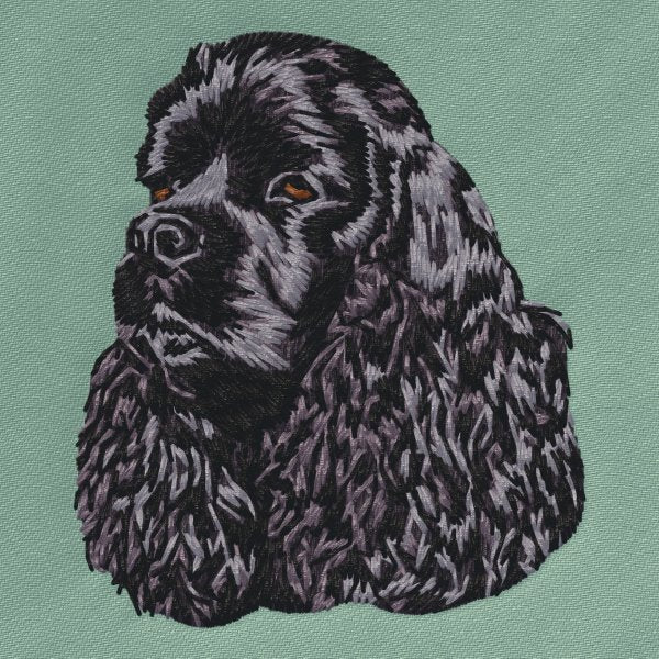 Americký kokršpaněl 6