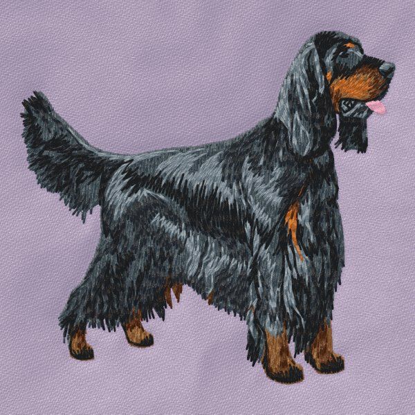 Gordon Setter 3