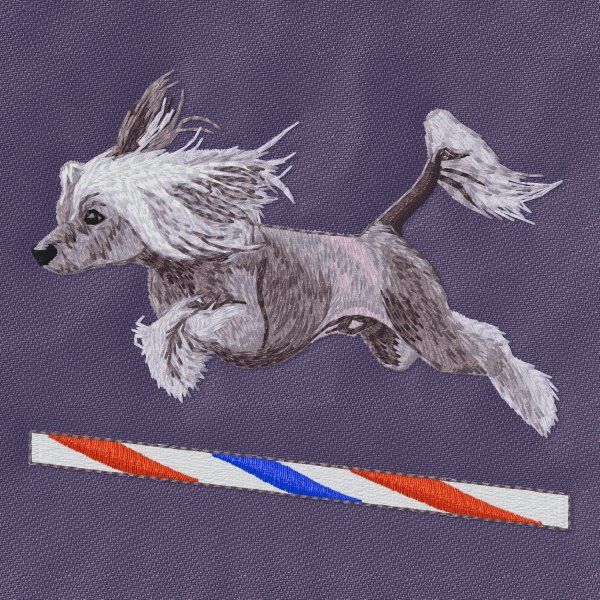 Čínský chocholatý pes - Agility