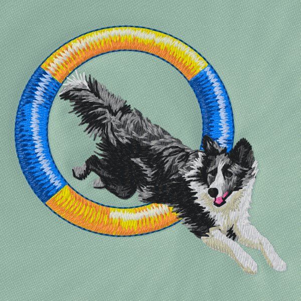 Border kolie - Agility 7