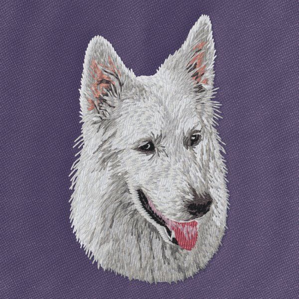 Swiss Shepherd Dog 4