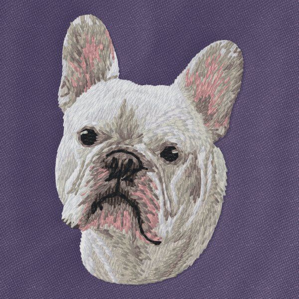 French Bulldog 9
