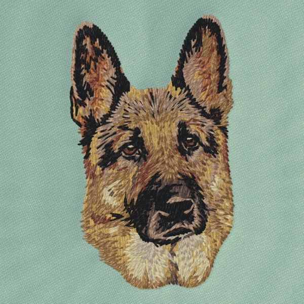 Německý ovčák 27