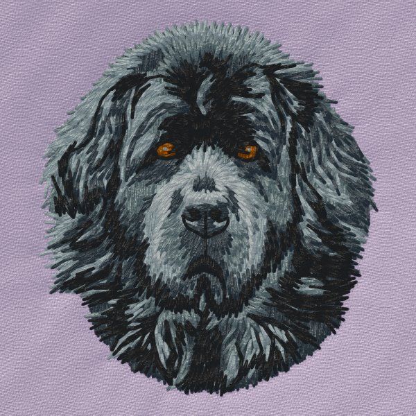 Novofundlandský pes 6