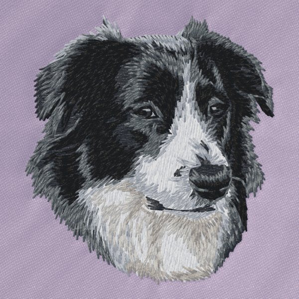 Australian Shepherd 14