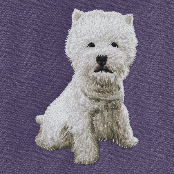 West Highland White Terrier 10