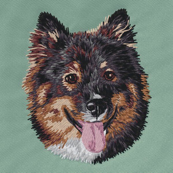Finnischer Lapphund