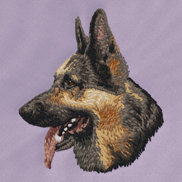 Německý ovčák 22