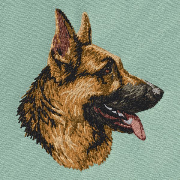 Německý ovčák 21