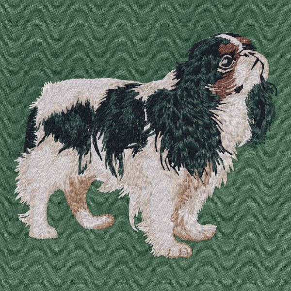 Cavalier King Charles Spaniel 19