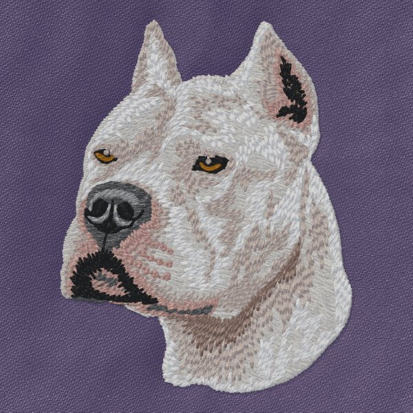 Americký pitbulteriér 4