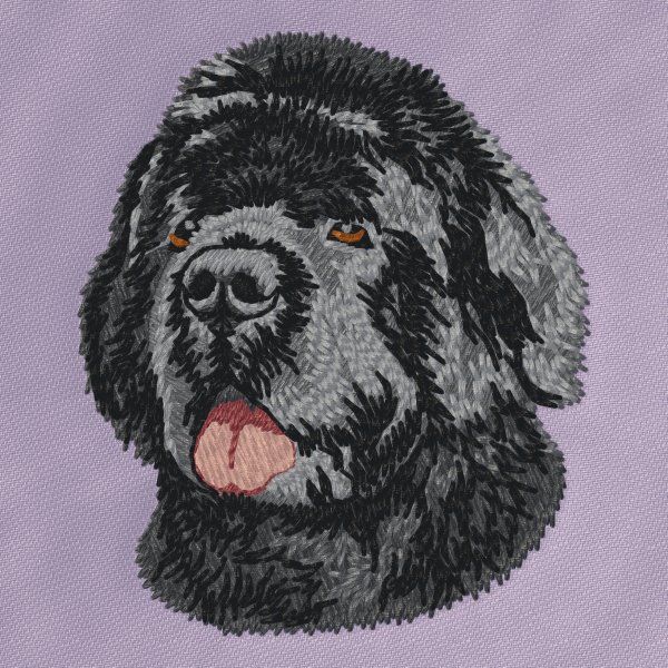 Novofundlandský pes 5