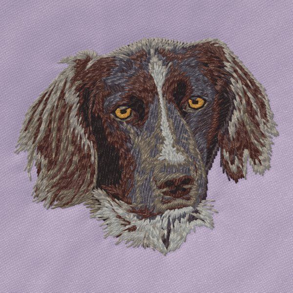 Small Munsterlander 2