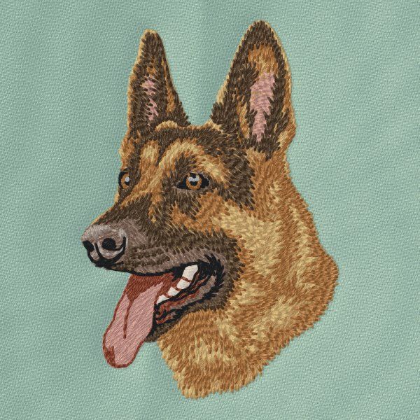 Německý ovčák 18