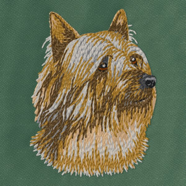 Australian Silky Terrier 4