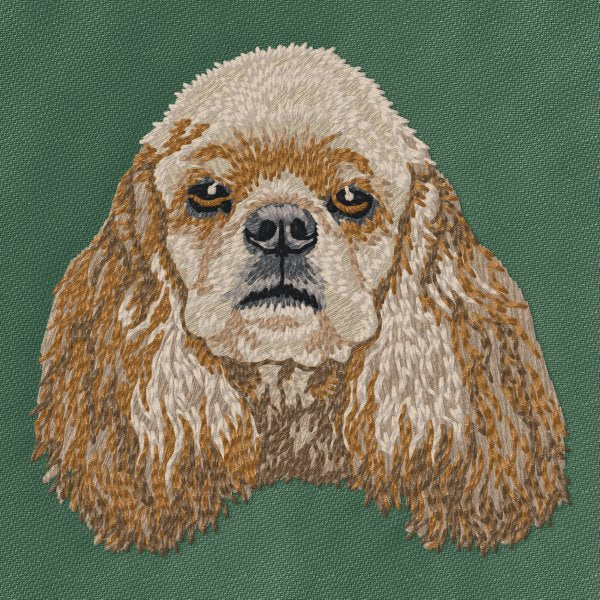 Americký kokršpaněl 5