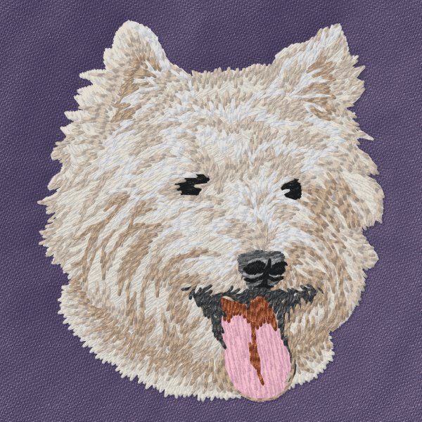 West Highland White Terrier 7