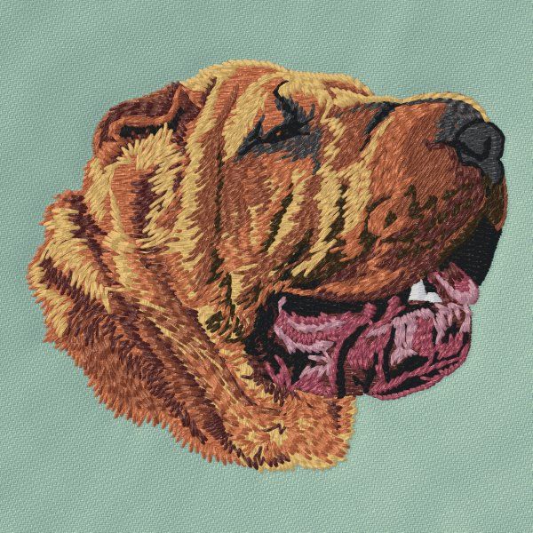 Shar-Pei 4