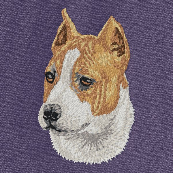 American Staffordshire Terrier 3