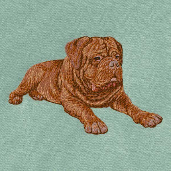 Dogue de Bordeaux 2