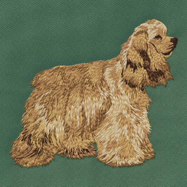 Americký kokršpaněl 4