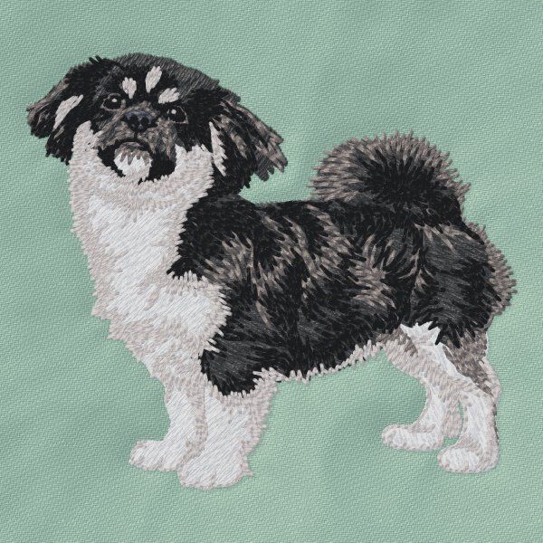 Tibet-Spaniel 3