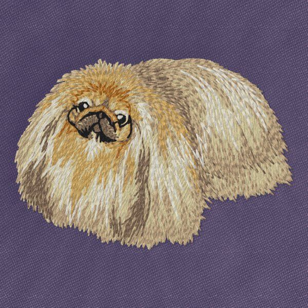 Pekingese 4