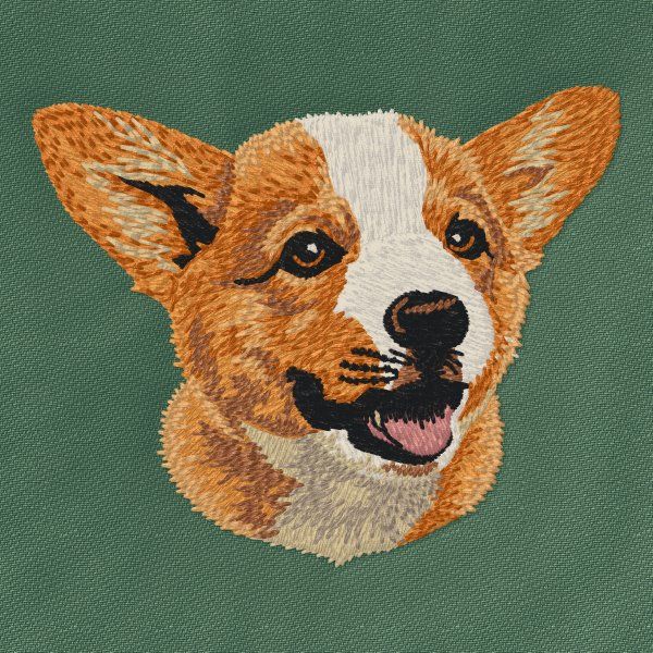 Welsh Corgi Pembroke 3