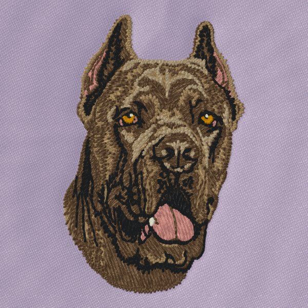 Cane Corso