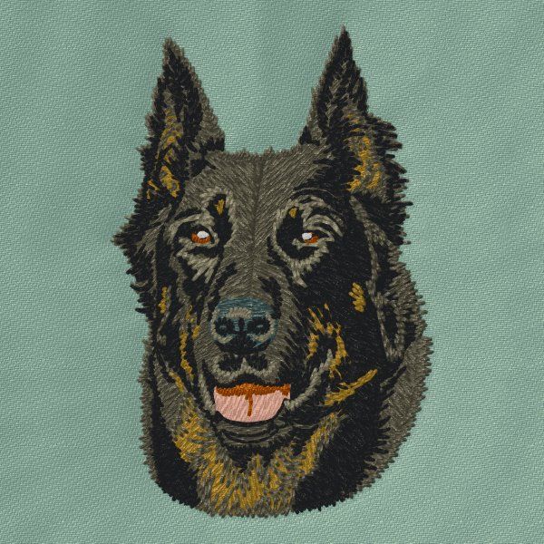 Beauceron 1