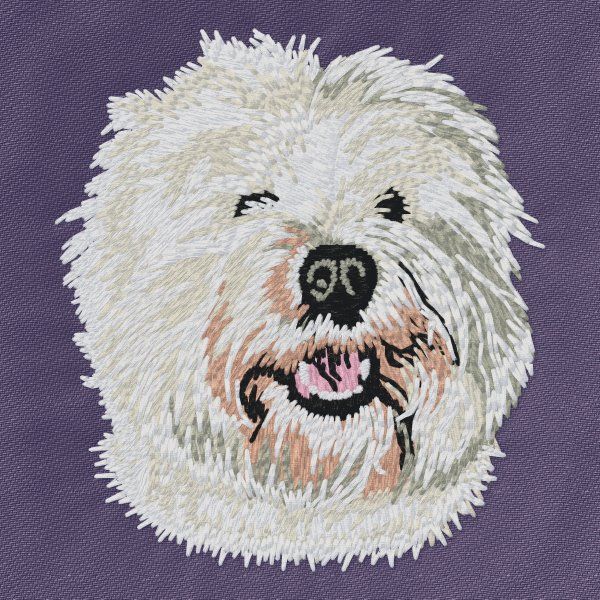 West Highland White Terrier 6