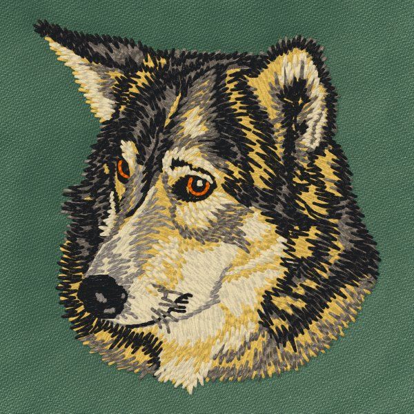 Russisch-Europäischer Laika